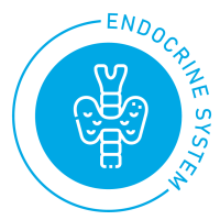endocarine